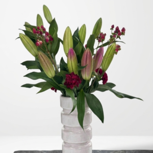 Sweet Scented Pink Lily