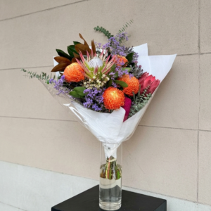The King Protea Sunburst