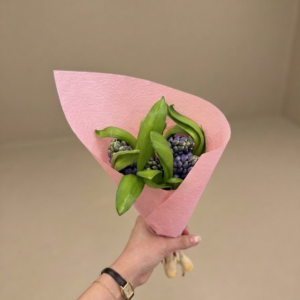 Blushing Hyacinth Bud Bouquet